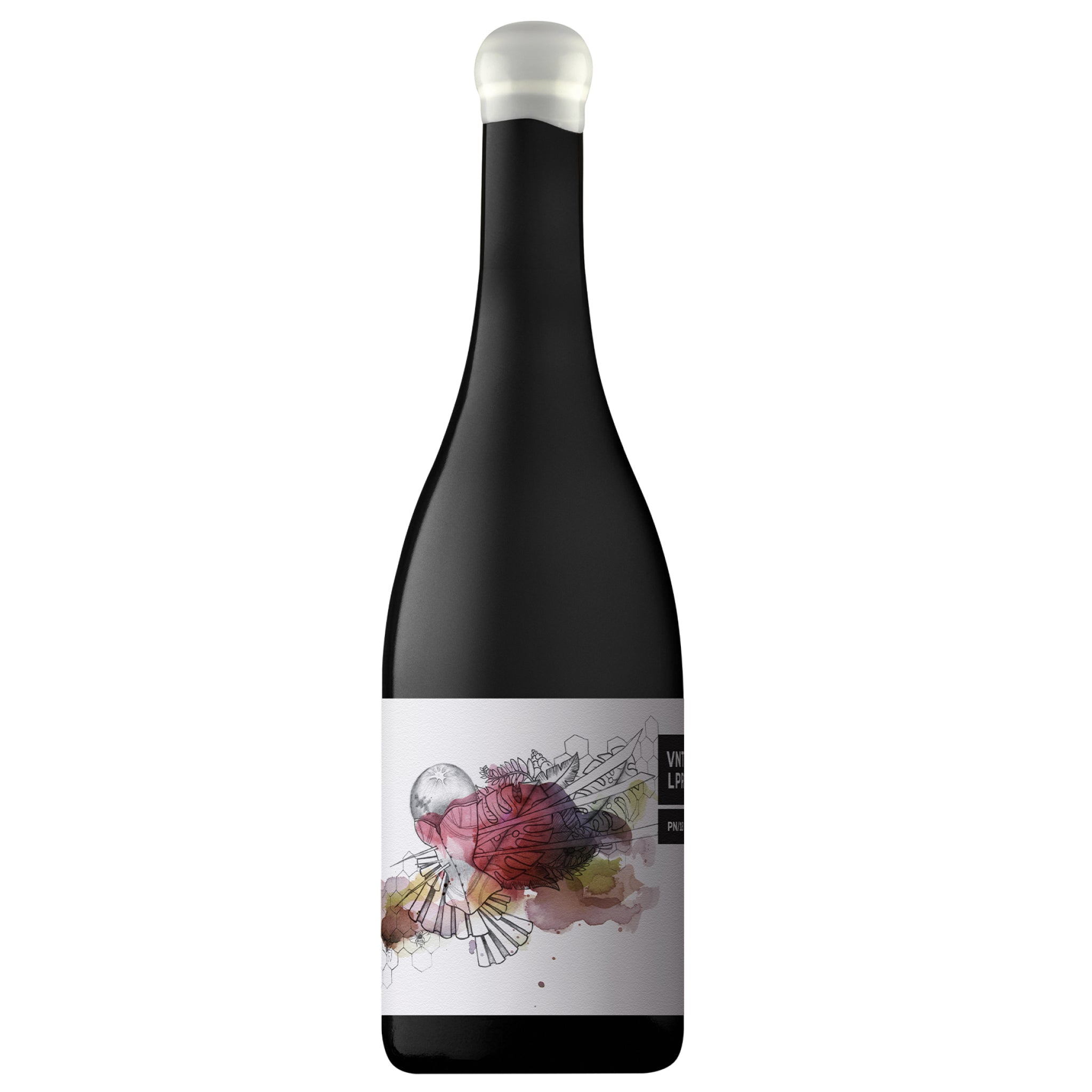 NE版 PINOT NOIR MADREPERLA 2021 Pinot Noir – Birch Block Vineyard