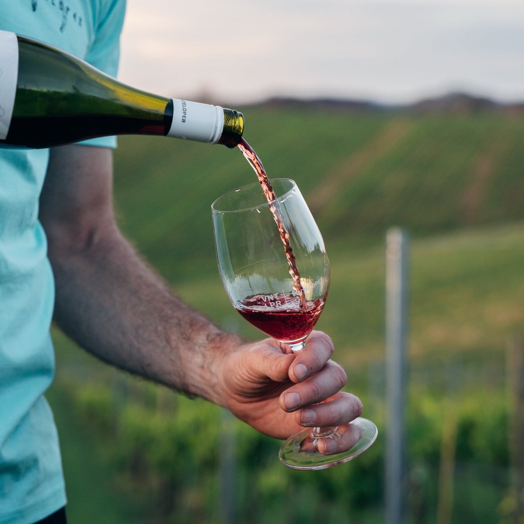 PN/22 - Pinot Noir
