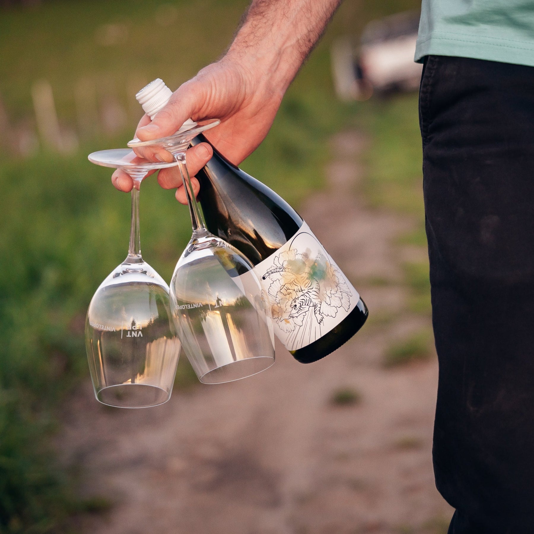 CH/23 - Chardonnay