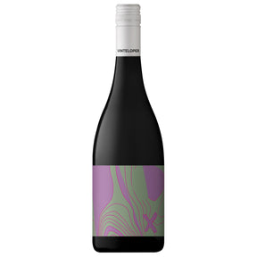 Nebbiolo [2024]