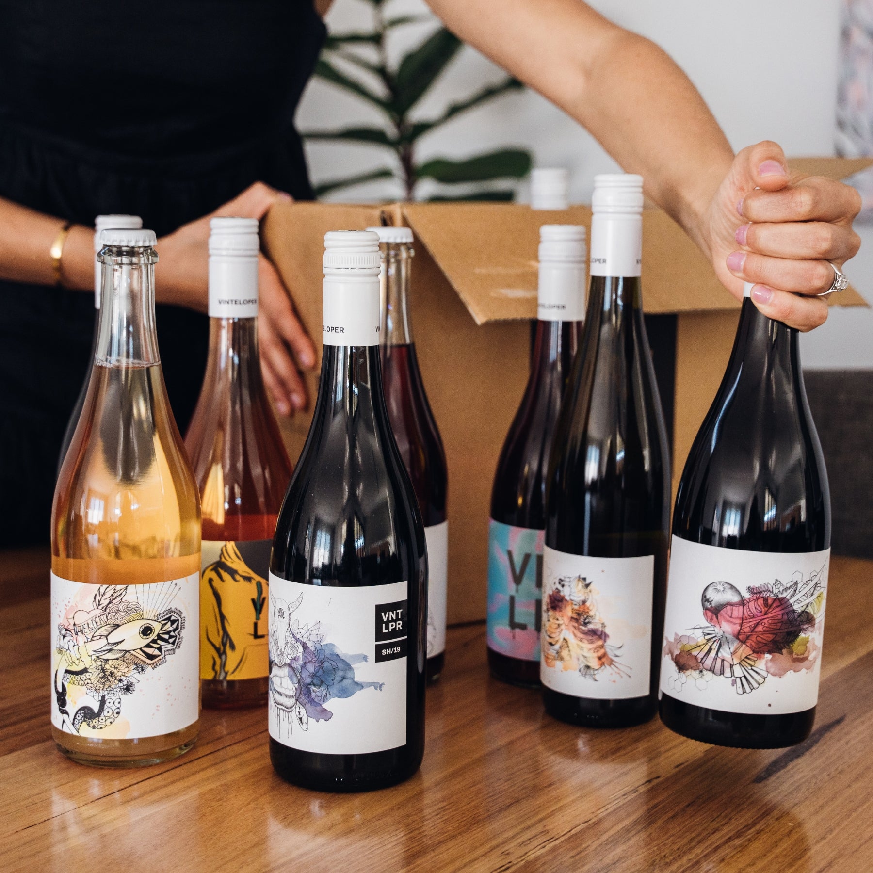 The 6 bottle intro