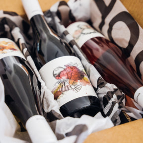The 6 bottle intro