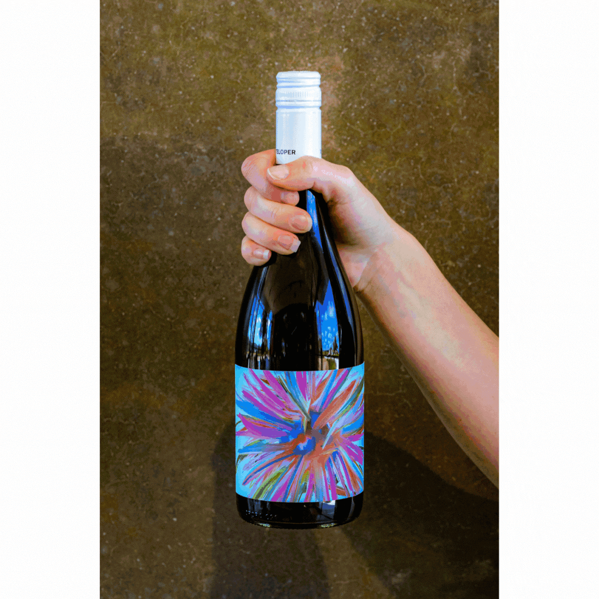 Pinot Noir Festive 3 pack