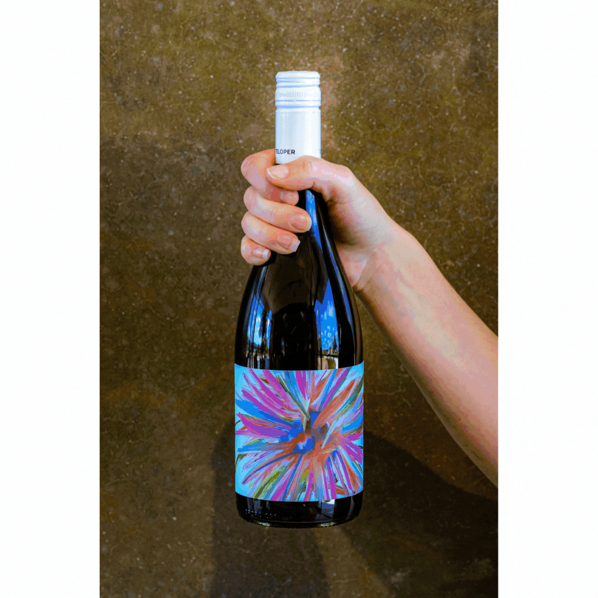 Pinot Noir Festive 3 pack