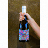 Pinot Noir Festive 3 pack