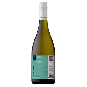 CH/22 - Chardonnay