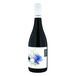 MUSEUM RELEASE - SH/15 Shiraz 2015